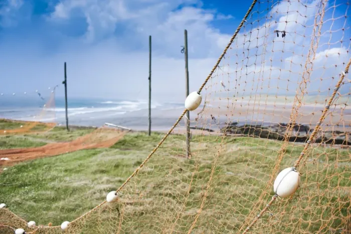 Framed Print : Fishing nets drying, Gourdon Bay, Scotland, United Kingdom, Europe Framed Print : Fishing nets drying, Gourdon Bay, Scotland, United Kingdom, Europe