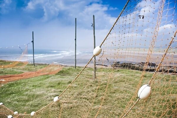 Fishing nets drying, Gourdon Bay, Scotland, United Kingdom, Europe