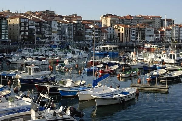 Fishing and pleasure harbour, Lekeitio, Basque country, Euskadi, Spain, Europe