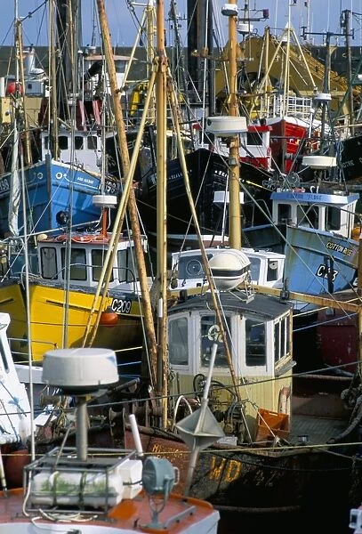 Fishing port, Kilmore Quay, County Wexford, Leinster, Eire (Ireland), Europe