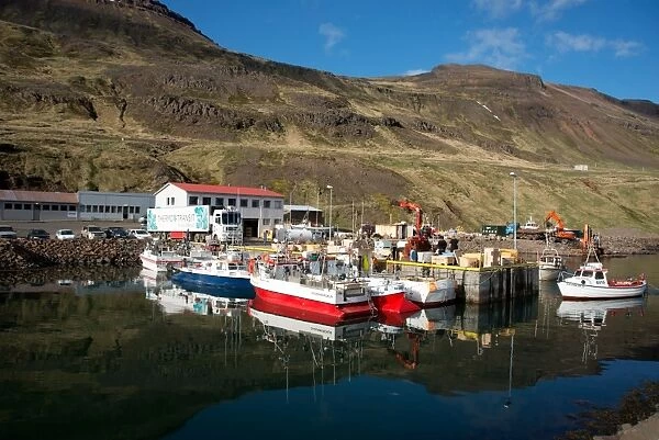 The fishing port of Nordurfjordur, Arneshreppur, West Fjords, Iceland, Polar Regions
