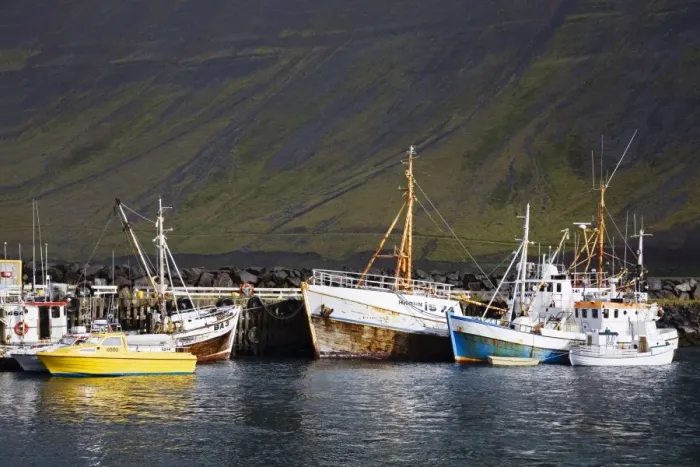 Framed Print : Fishing vessels Framed Print : Fishing vessels