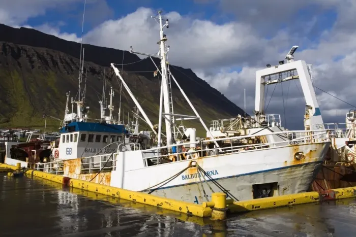 Framed Print : Fishing vessels, Port of Isafjordur, West Fjords Region, Iceland, Polar Regions