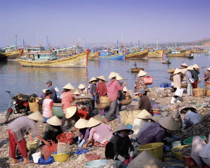 Framed Print : Fishing village people collecting the morning catch Framed Print : Fishing village people collecting the morning catch