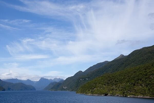 Fjord, Thomson Sound, South Island, New Zealand, Pacific