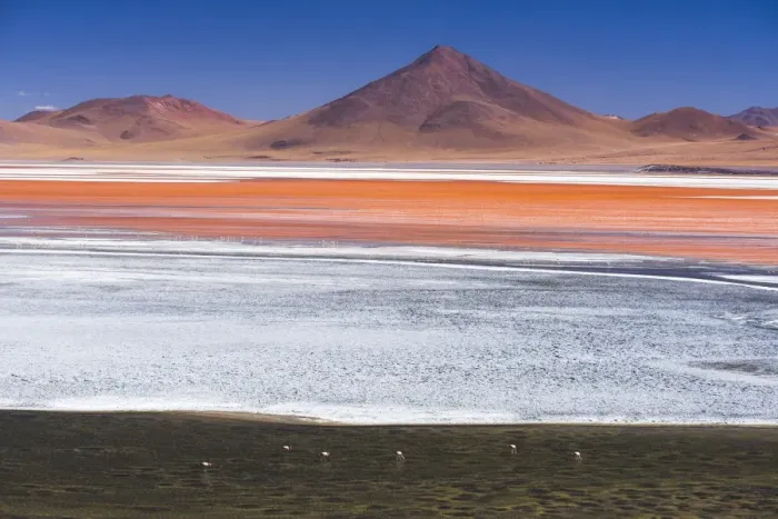 Framed Print : Flamingos at Red Lagoon (Laguna Colorada), a salt lake in the Altiplano of Bolivia Framed Print : Flamingos at Red Lagoon (Laguna Colorada), a salt lake in the Altiplano of Bolivia