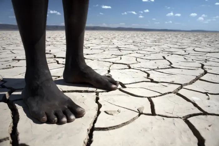Framed Print : The flat expanse of the Grand Barra Depression, Djibouti, Africa