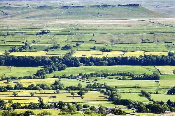 The Flat Topped Hill of Addleborough from Askrigg Moor Road, Wensleydale, Yorkshire Dales National Park, Yorkshire, England, United Kingdom, Europe