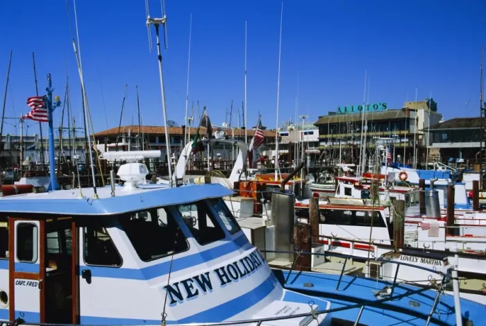 Framed Print : Fleet of small fishing boats around Pier 39 Framed Print : Fleet of small fishing boats around Pier 39