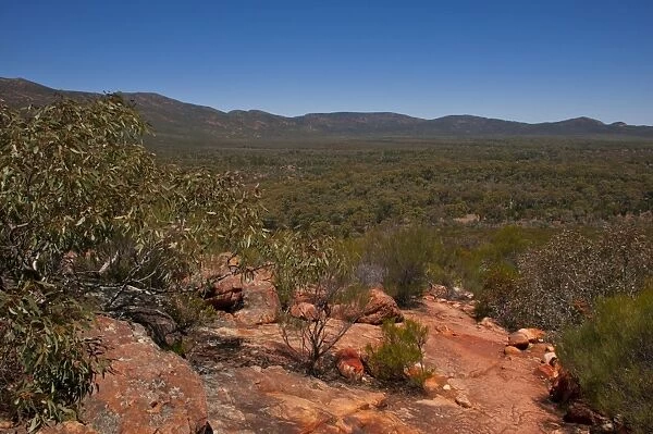 Flinders Ranges National Park, South Australia, Australia, Pacific