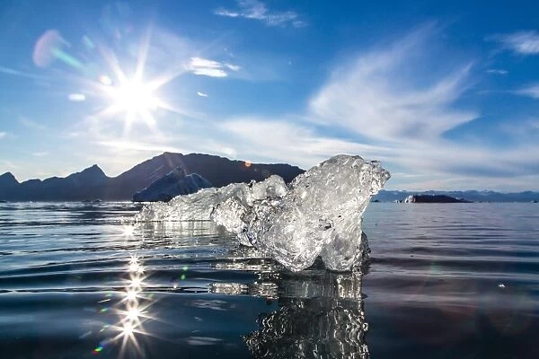 Floating ice, Vikingbukta (Viking Bay), Scoresbysund, Northeast Greenland, Polar Regions