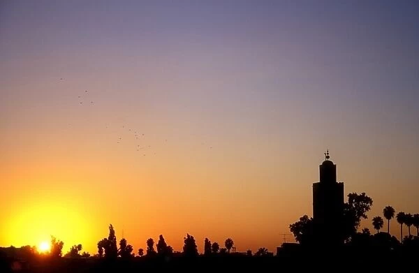 A flock of birds flies over the skyline of Marrakech at sunset, Morocco