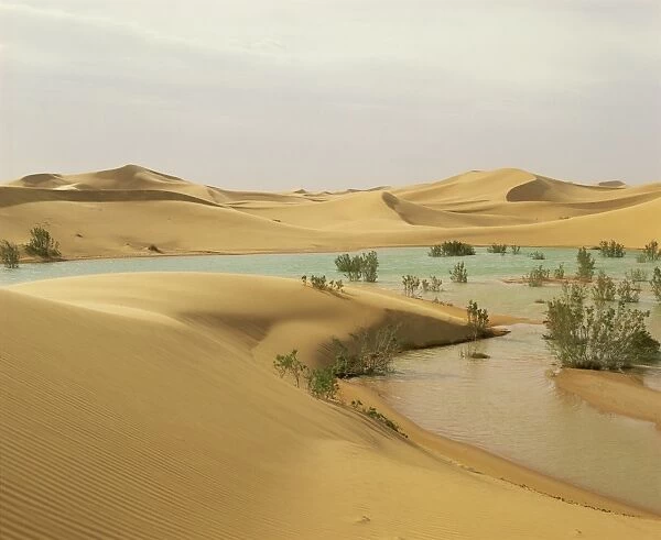 Flood waters in Algerian Sahara, at edge of Grand Erg Occidental, south of El-Golea
