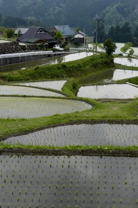 Framed Print : Flooded rice paddy terraces in early spring in mountain village of Hata Framed Print : Flooded rice paddy terraces in early spring in mountain village of Hata