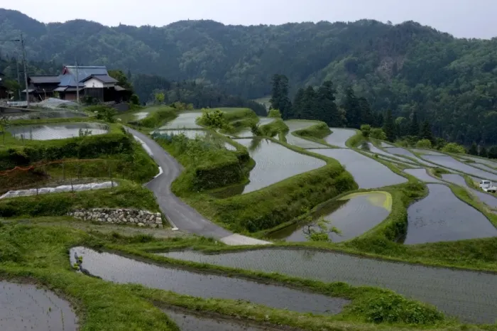 Framed Print : Flooded rice paddy terraces in early spring in mountain village of Hata Framed Print : Flooded rice paddy terraces in early spring in mountain village of Hata