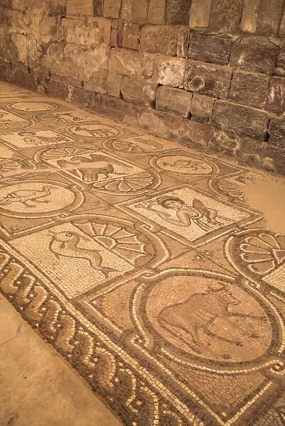 Floor mosaics, Petra Church (Byzantine Church), built between the 5th and 7th centuries AD