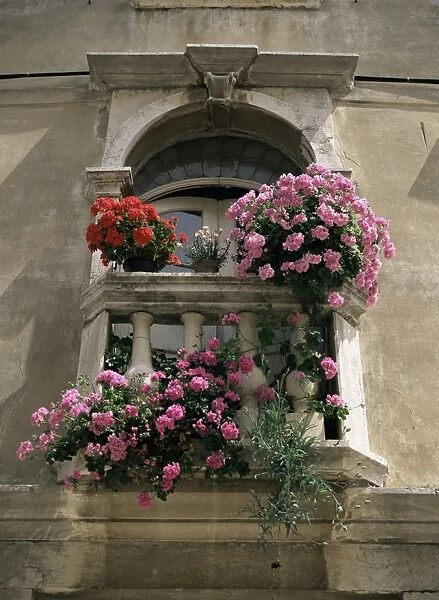 Floral balconies, Rovinj, Croatia, Europe