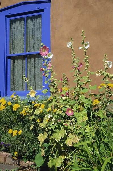 Flower bed and window
