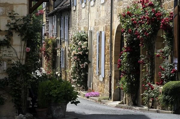 Flower bedecked street, St. Cyprien, Dordogne, France, Europe