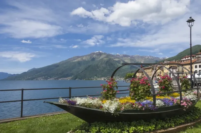 Framed Print : Flower boat, Domaso, Lake Como, Italian Lakes, Lombardy, Italy, Europe Framed Print : Flower boat, Domaso, Lake Como, Italian Lakes, Lombardy, Italy, Europe