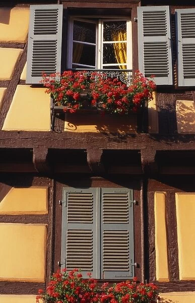 Flower Boxes on a House in Niedermorschwihr, Upper Alsace, Alsace, France