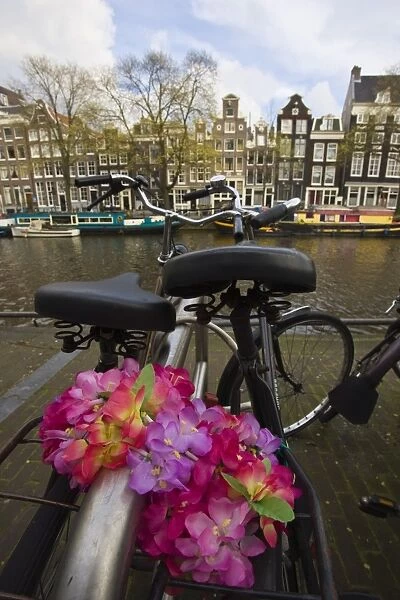 Flower chain holding two bicycles together, Amsterdam, Netherlands, Europe