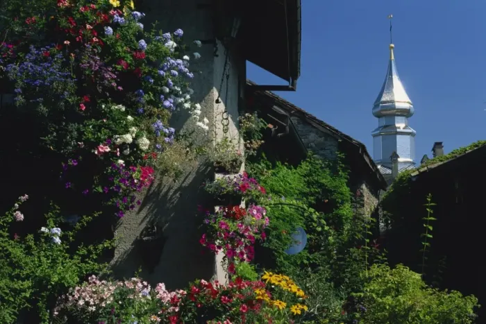 Framed Print : Flower filled garden of village house with sparkling church spire beyond