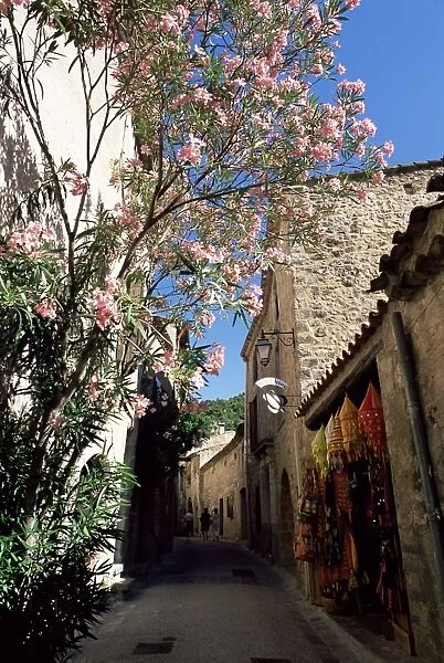Flower filled village street, St. Guilhem-le-Desert, Herault, Languedoc-Roussillon