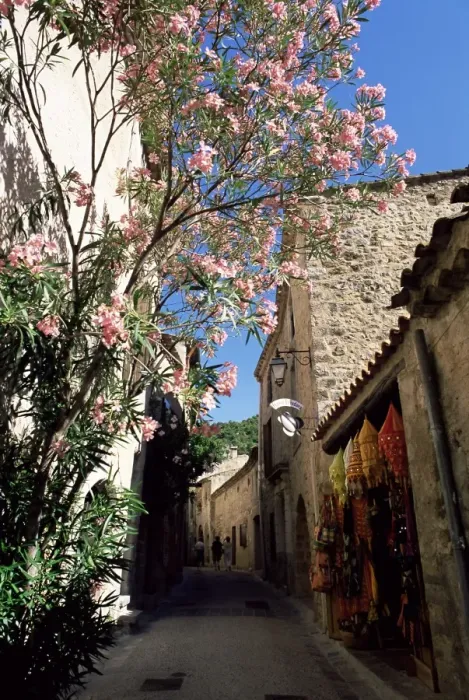 Framed Print : Flower filled village street, St. Guilhem-le-Desert, Herault, Languedoc-Roussillon Framed Print : Flower filled village street, St. Guilhem-le-Desert, Herault, Languedoc-Roussillon