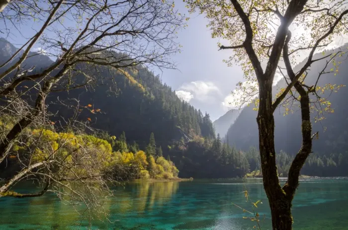 Framed Print : Five Flower Lake, Jiuzhaigou (Nine Village Valley), UNESCO World Heritage Site, Sichuan province Framed Print : Five Flower Lake, Jiuzhaigou (Nine Village Valley), UNESCO World Heritage Site, Sichuan province