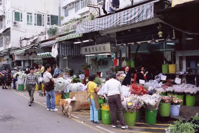 Framed Print : Flower market, Mong Kok, Kowloon, Hong Kong, China, Asia