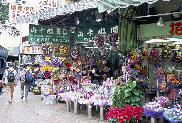Flower market, Mong Kok, Kowloon, Hong Kong, China, Asia