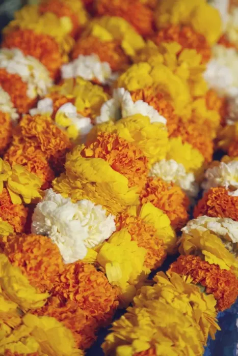 Framed Print : Flower offerings at temple, Kathmandu, Nepal, Asia Framed Print : Flower offerings at temple, Kathmandu, Nepal, Asia