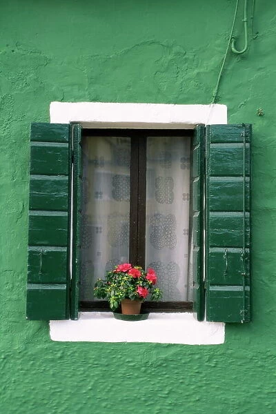 Flower pot on window sill