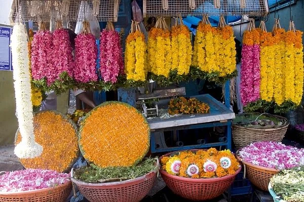 Flower shop, Chalai, Trivandrum, Kerala, India, Asia