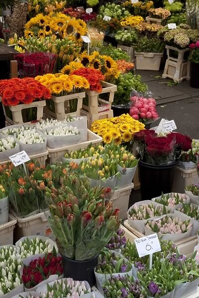 Flower stall, Bloemenmarkt, Amsterdam, Holland, Europe