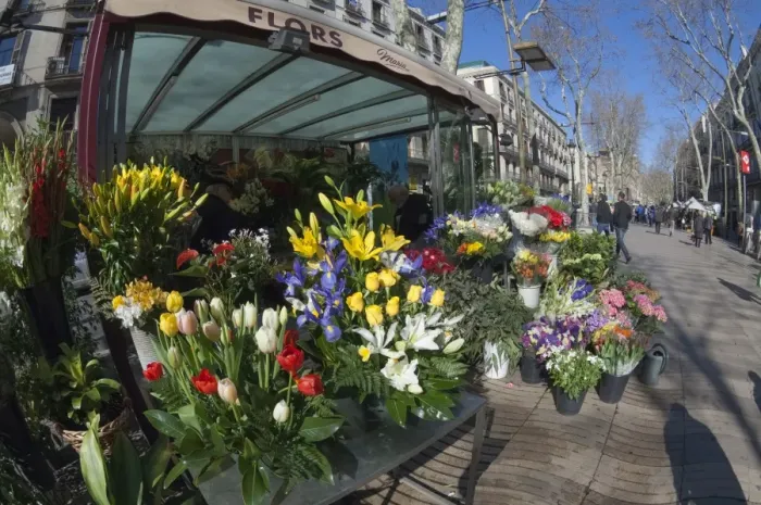 Framed Print : Flower stall on Las Ramblas, Barcelona, Catalunya, Spain, Europe Framed Print : Flower stall on Las Ramblas, Barcelona, Catalunya, Spain, Europe