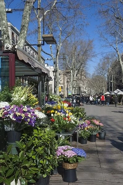 Flower stall on Las Ramblas, Barcelona, Catalunya, Spain, Europe