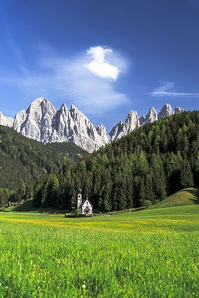 Flowering meadows in spring surrounding the small church of St. John in Ranui and Odle peaks, Funes Valley, Dolomites, South Tyrol, Italy, Europe
