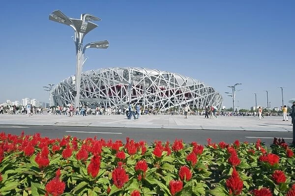 Flowers and The Birds Nest National Stadium designed by Herzog and de Meuren in the Olympic Green