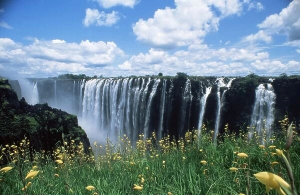 Flowers in bloom with the Victoria Falls behind, UNESCO World Heritage Site