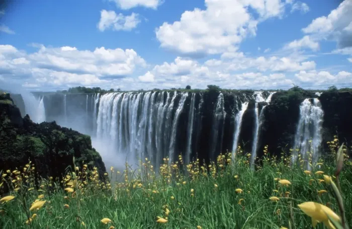 Framed Print : Flowers in bloom with the Victoria Falls behind, UNESCO World Heritage Site Framed Print : Flowers in bloom with the Victoria Falls behind, UNESCO World Heritage Site