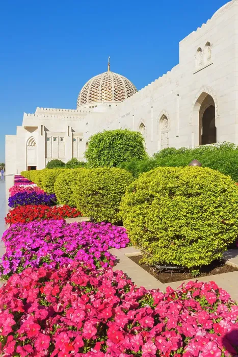Framed Print : Flowers and dome of Sultan Gaboos Grand Mosque, Muscat, Oman, Middle East Framed Print : Flowers and dome of Sultan Gaboos Grand Mosque, Muscat, Oman, Middle East