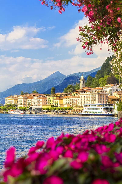 Flowers on the lake side of Bellagio, Province of Como, Lake Como, Italian Lakes