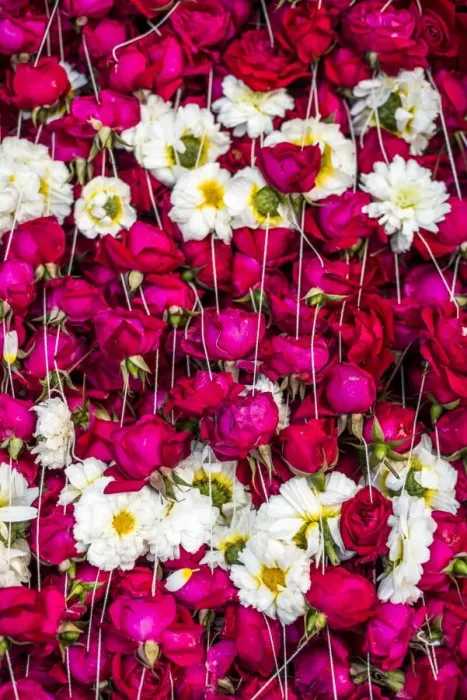 Framed Print : Flowers for offering at a Hindu temple, New Delhi, India, Asia Framed Print : Flowers for offering at a Hindu temple, New Delhi, India, Asia