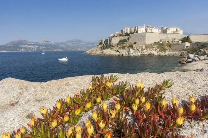 Framed Print : Flowers on rocks frame the fortified citadel surrounded by the clear sea, Calvi, Balagne Region Framed Print : Flowers on rocks frame the fortified citadel surrounded by the clear sea, Calvi, Balagne Region