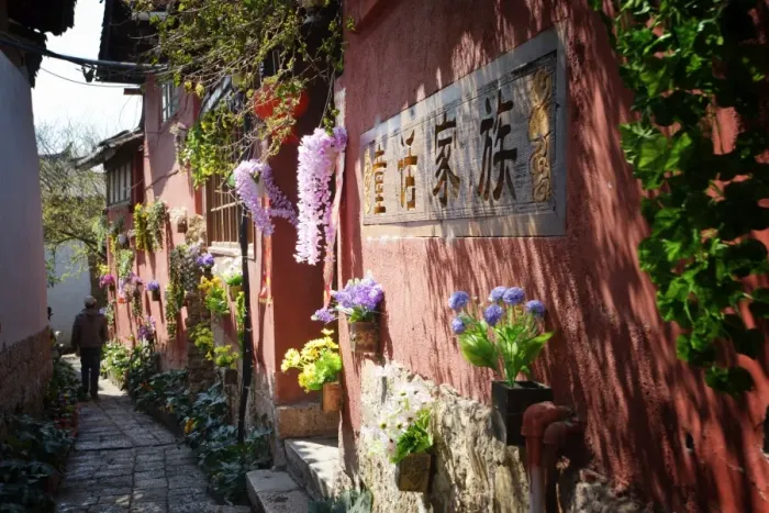 Framed Print : Flowers on a wall in Lijiang Old Town, UNESCO World Heritage Site, Lijiang, Yunnan, China, Asia Framed Print : Flowers on a wall in Lijiang Old Town, UNESCO World Heritage Site, Lijiang, Yunnan, China, Asia