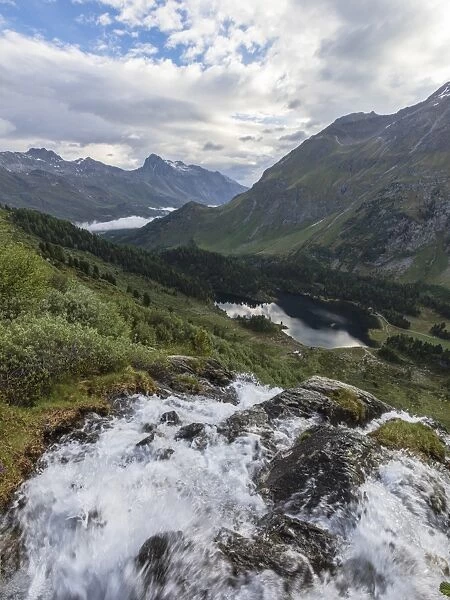 Flowing water of a creek around Lake Cavloc, Maloja Pass, Bregaglia Valley, Engadine