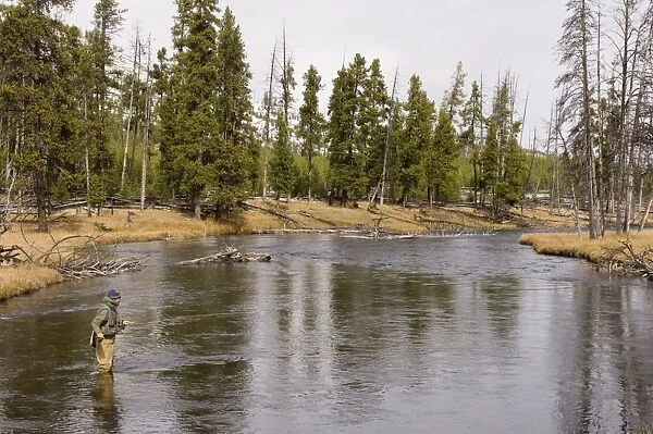 Fly fishing, Firehole River, Yellowstone National Park, UNESCO World Heritage Site