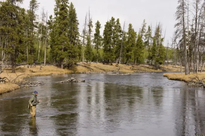 Framed Print : Fly fishing, Firehole River, Yellowstone National Park, UNESCO World Heritage Site Framed Print : Fly fishing, Firehole River, Yellowstone National Park, UNESCO World Heritage Site